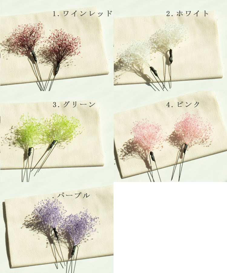 カスミソウ【2本セット】